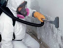 Best Commercial Mold Inspection in La Vernia, TX